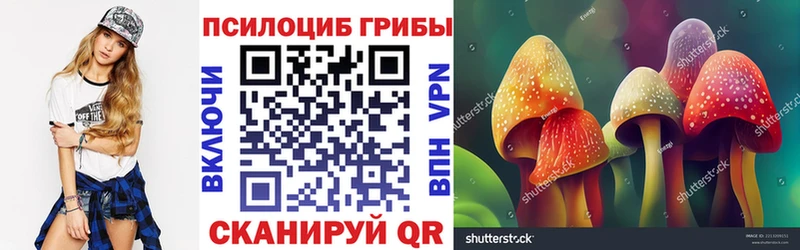 Купить где  Бабаево  Галлюциногенные грибы Cubensis 